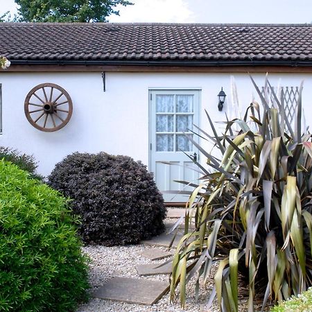 Ashton Cottages 切达 外观 照片